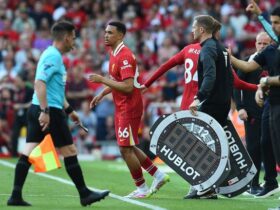 As Liverpool and Arsenal drew 2-2, Liverpool fans expressed their feelings for Trent Alexander-Arnold.